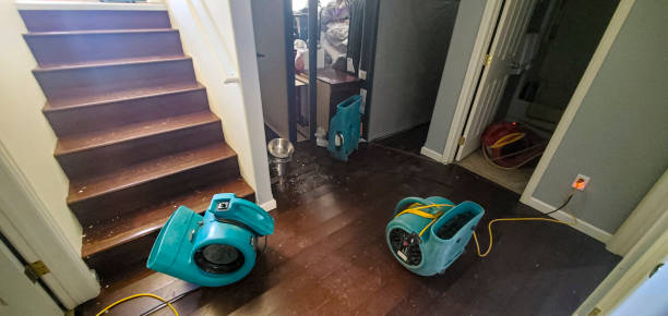 Best Water damage cleanup near me  in Buxton, NC