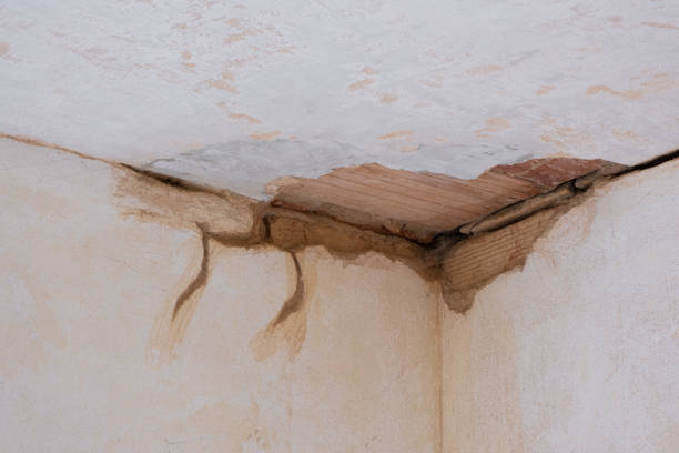 Best Water damage restoration near me  in Buxton, NC