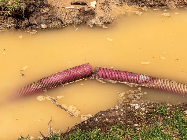  Buxton, NC Water damage restoration Pros
